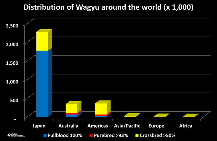 Chart showing the distribution of the 3 million Wagyu by region around the world